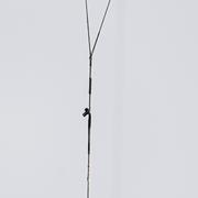 CORE Pace l Fixed Tectanium Bridle